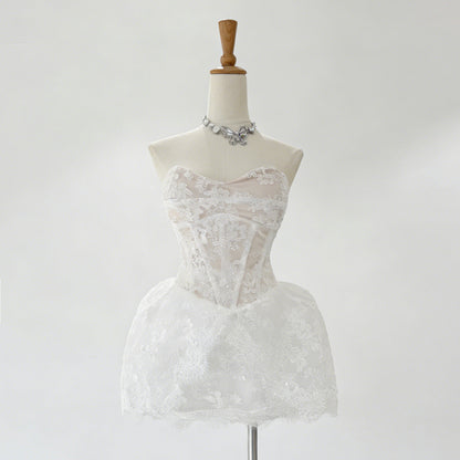 Lace Embroidered Bandeau Sleeveless Dress