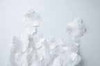 Georgia 3d Floral Lace Mini Dress in White Avalabel
