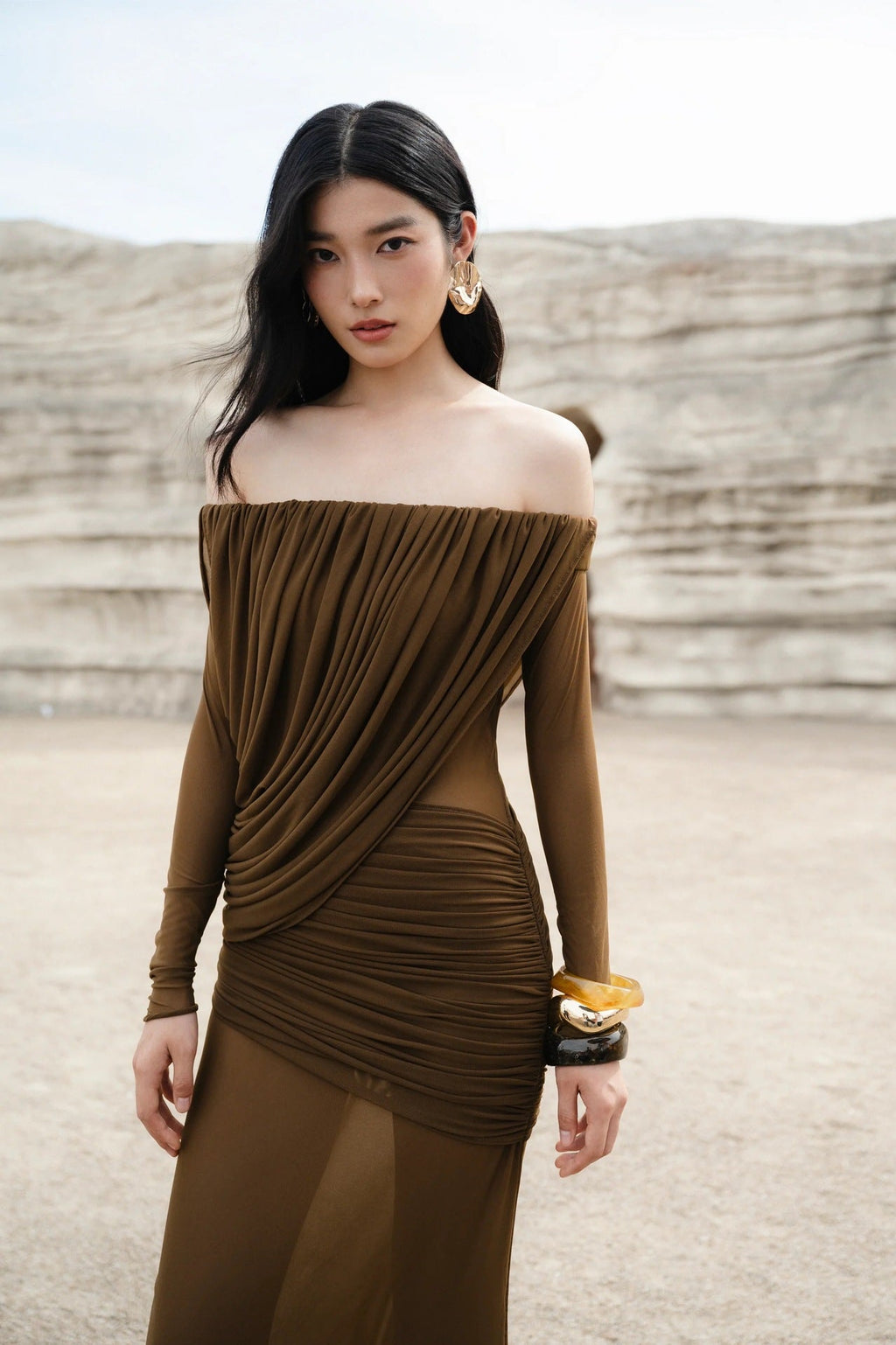 Cara Off-Shoulder Long Sleeve Pleated Mesh Maxi Dress in Brown Avalabel