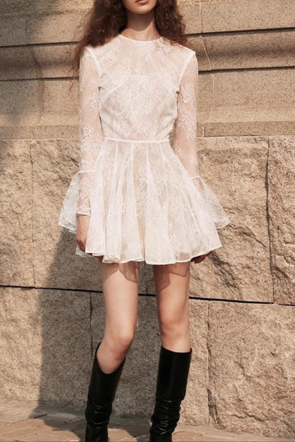 Bblythe Tulle Lace Backless Mini Dress in White
