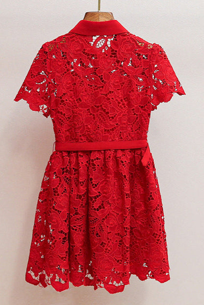 Burgundy Lace Collared Mini Dress