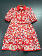 Floral Print Collared Mini Dress Avalabel