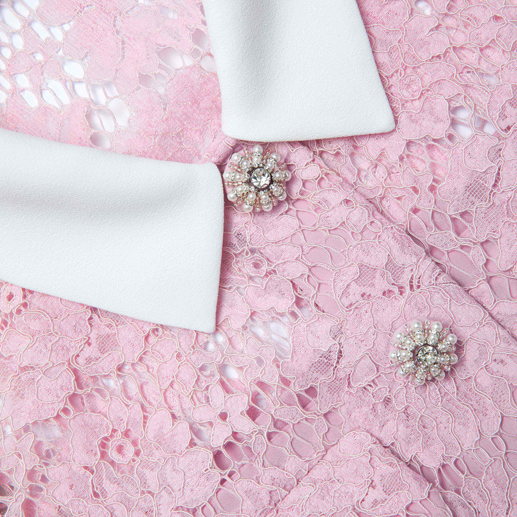 Pink Lace Collared Mini Dress Avalabel