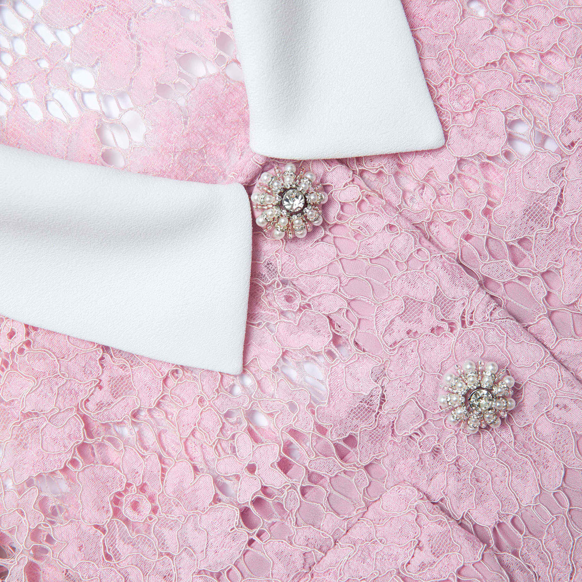 Pink Lace Collared Mini Dress Avalabel