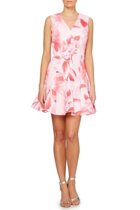 Sherry Multi Pink Floral Print V-Neck Mini Dress Avalabel