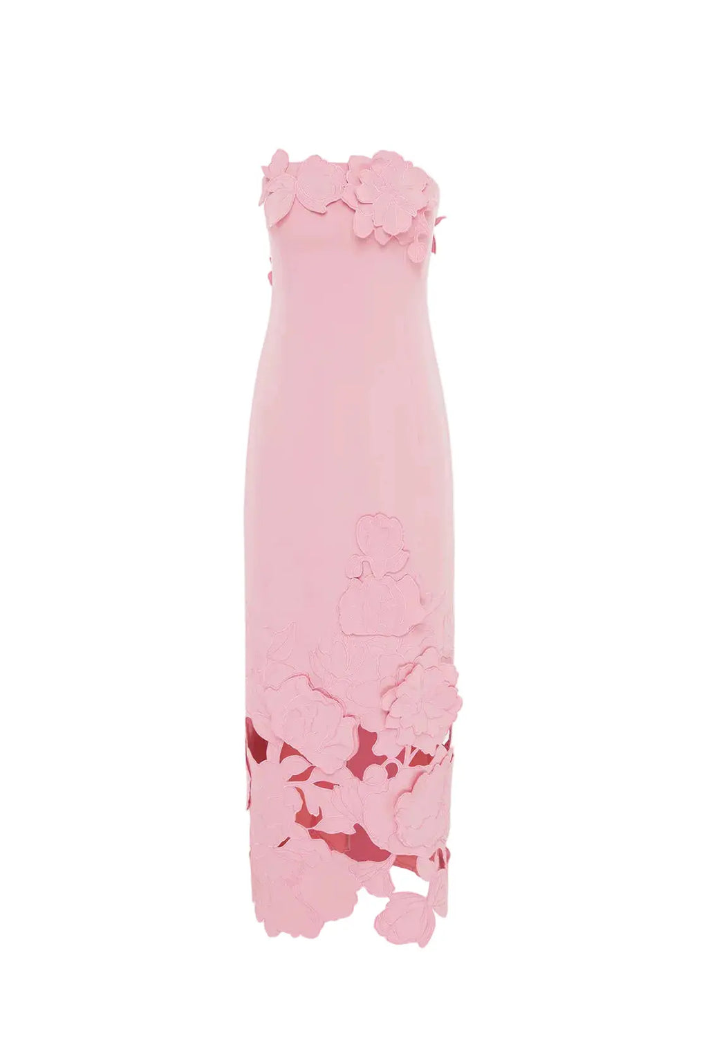 louise Appliqué Bustier Maxi Dress in pink Avalabel