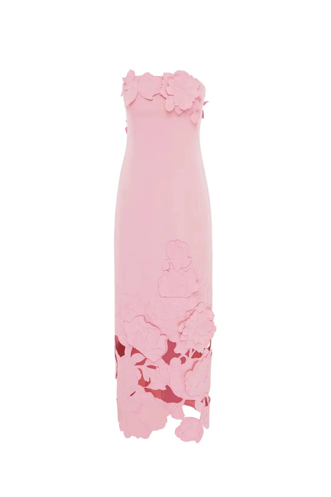 louise Appliqué Bustier Maxi Dress in pink Avalabel