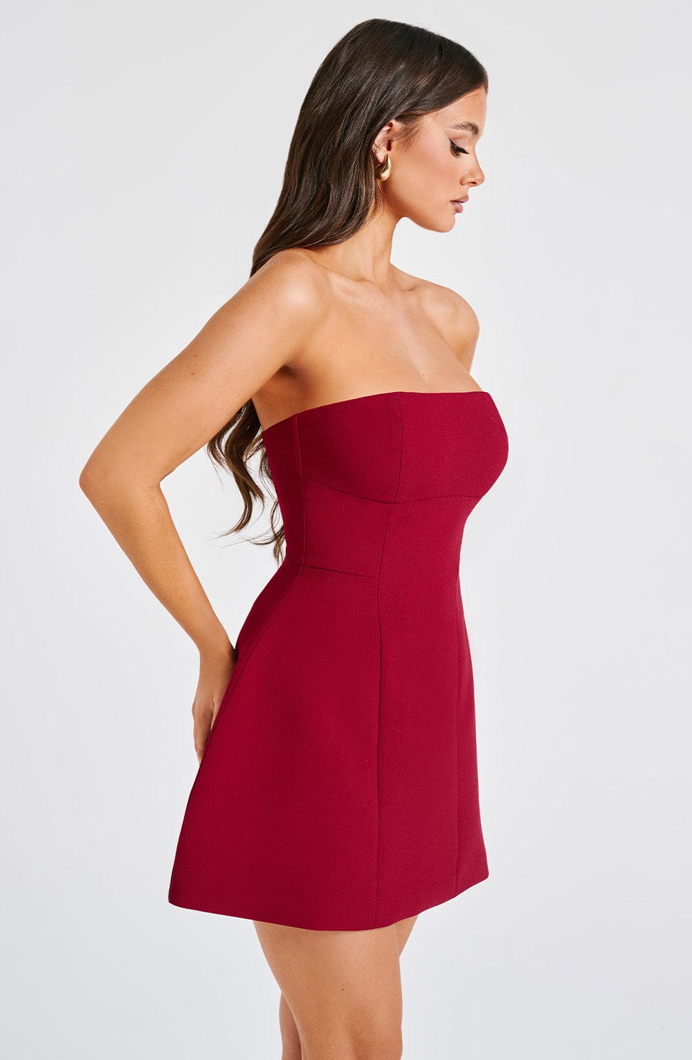 Asha Mini Dress - Wine Avalabel