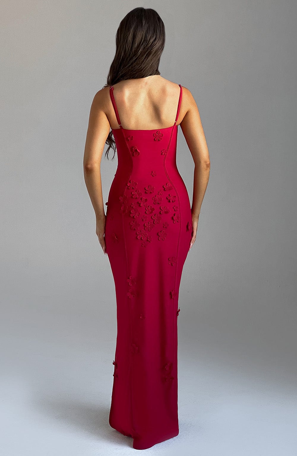 Dalary Maxi Dress - Red Lined Avalabel