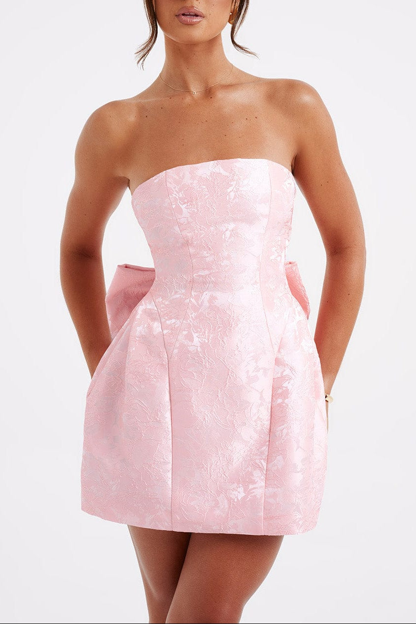 Elenora Mini Dress - Blush Avalabel