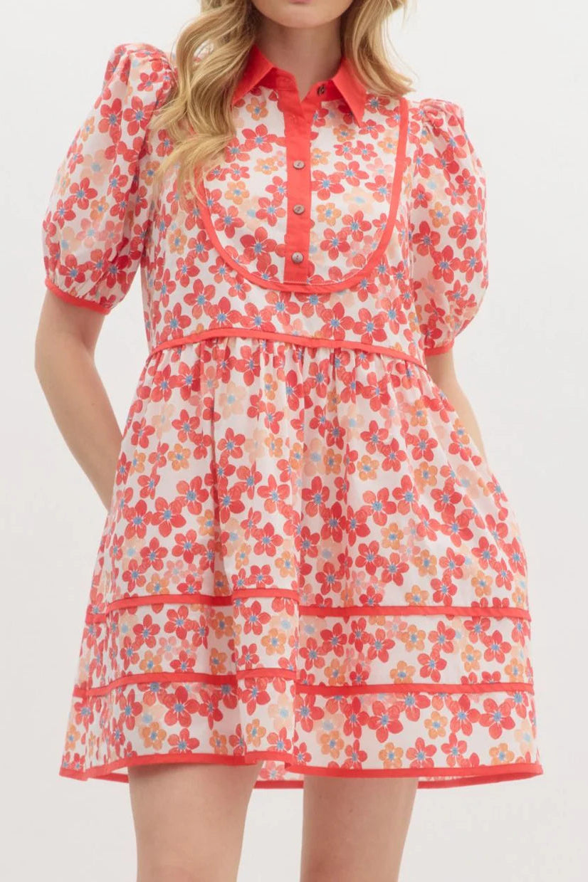 Floral Print Collared Mini Dress Avalabel
