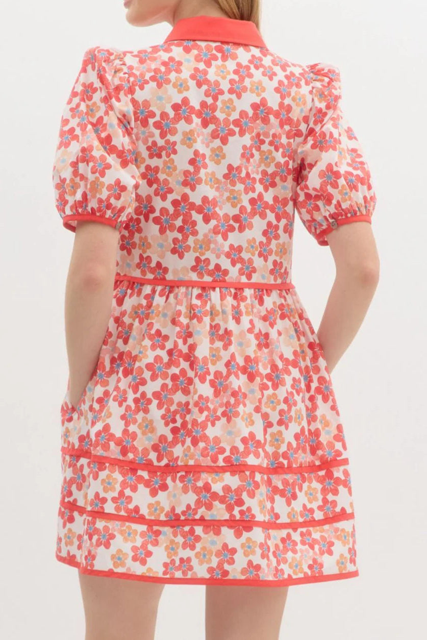 Floral Print Collared Mini Dress Avalabel