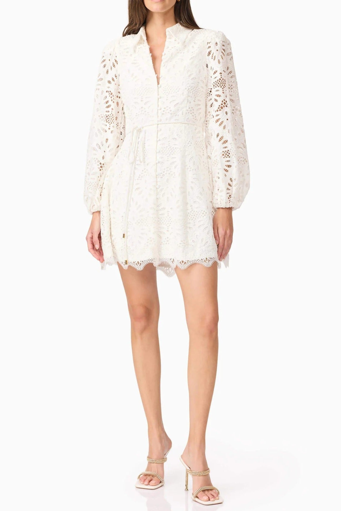 Lapel Hollow Embroidery Puff Sleeve Mini Dress in White Soraya