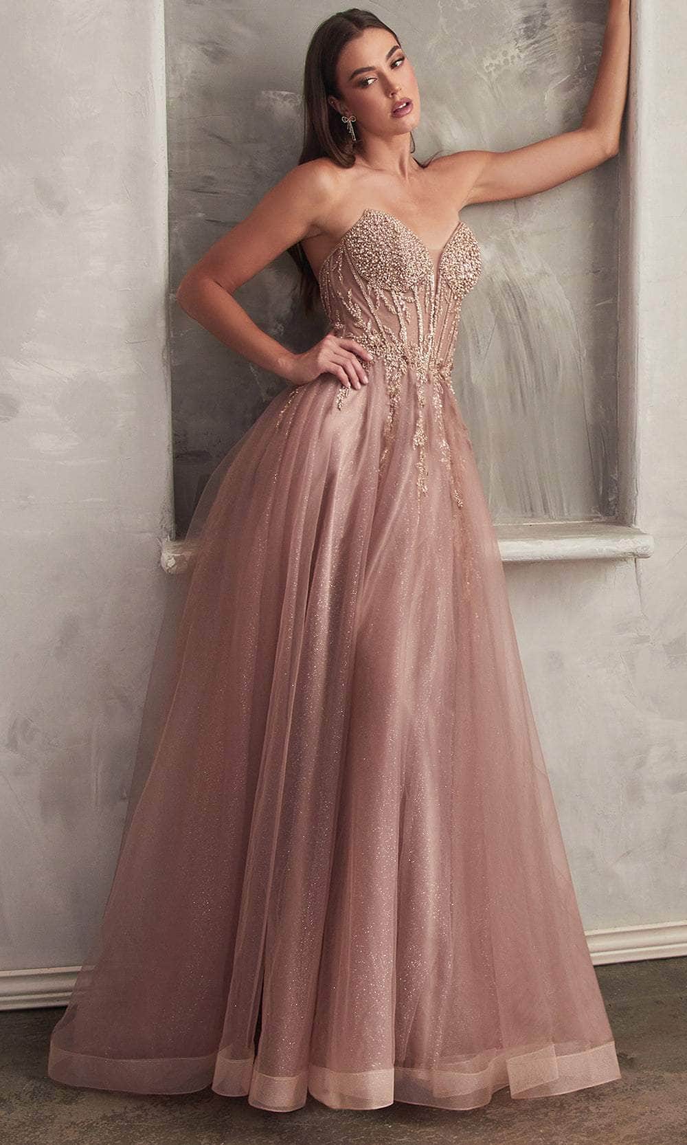 Ladivine  Beaded Appliqued A-Line Prom Gown Avalabel