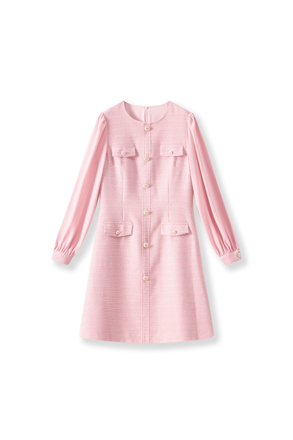 alani Embossed Chiffon Puff Sleeves mini Dress in pink Avalabel