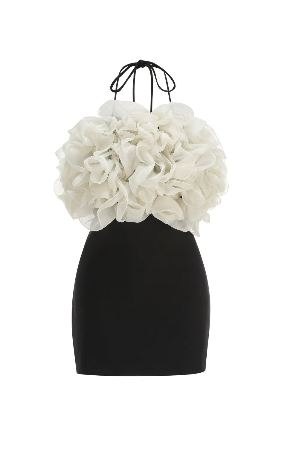 rosemary Ruffle backless Mini Dress in black Avalabel