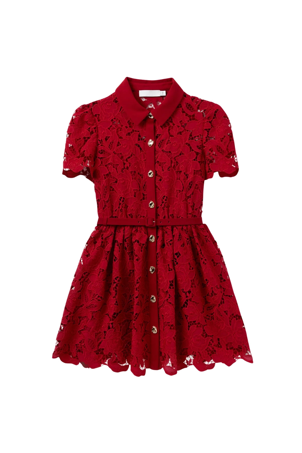 Burgundy Lace Collared Mini Dress