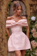 Raquel Mini Dress - Blush Avalabel