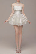 alberta Mesh Tulle strapless Tutu mini dress in apricot Avalabel