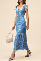 Lyuba Floral Printed Lace-Trimmed V-Neck Maxi Dress in Blue Avalabel